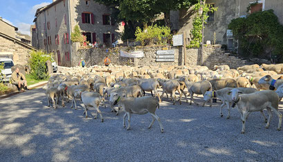 Barre-des-Cévennes.