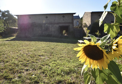 Farm Brandenburg