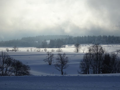 Winterlandschaft mit verschneiten Wiesen, Bäumen und tief hängenden Wolken