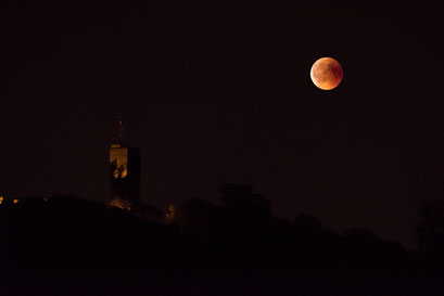Blutmond, Königstein, Burg