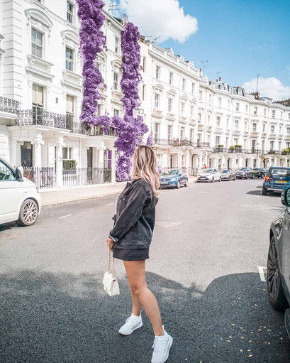 Zu sehen ist eine mögliche Bildidee mit Lavendel in Notting Hill.