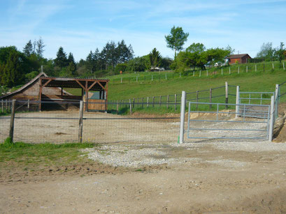 Parc de poulinage