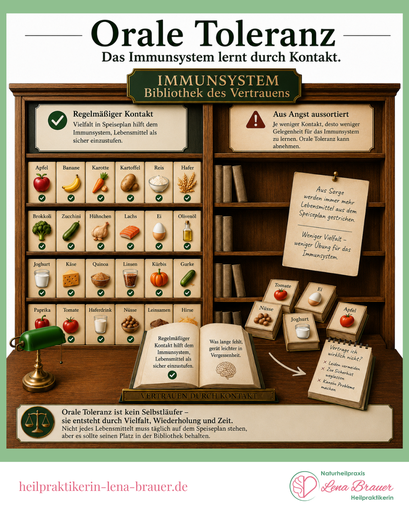 Infografik zur oralen Toleranz. Eine Bibliothek symbolisiert das Immunsystem, das durch regelmäßigen Kontakt mit Lebensmitteln lernt. Leere Regalfächer und aussortierte Lebensmittel zeigen, wie dauerhafte Vermeidung die orale Toleranz beeinträchtigen kann