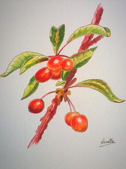 Realise aux crayons aquarellables Modele pris sur "plaisir de peindre"