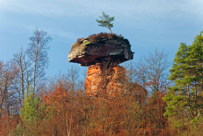 Teufelstisch bei Hinterweidental