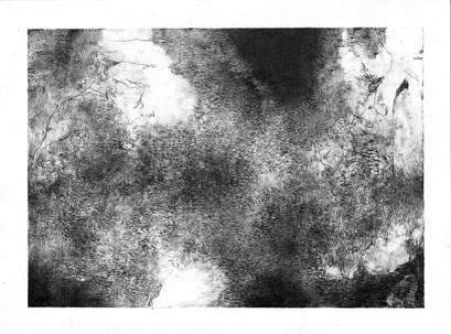 Wide Awake IV - graphite on paper - 24 x 32 cm - 2021