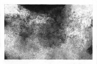 Wide Awake II - graphite on paper - 24 x 32 cm - 2021