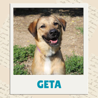 Geta