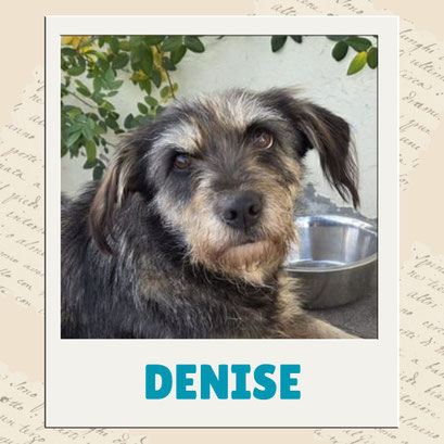 Denise
