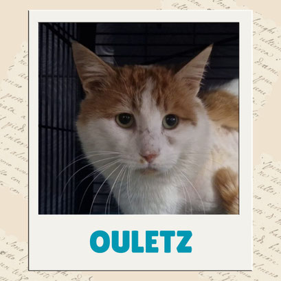 Ouletz
