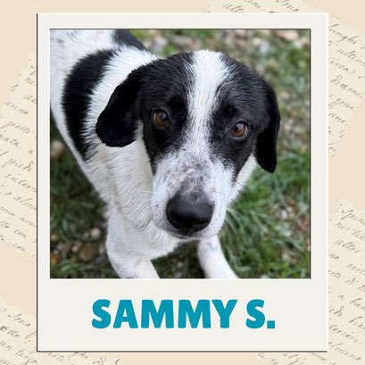 Sammy S.