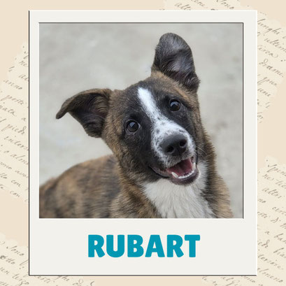 Rubart