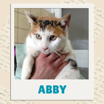 Abby