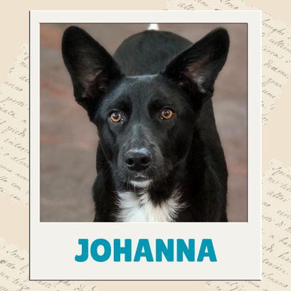 Johanna
