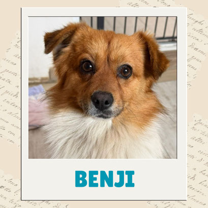 Benji
