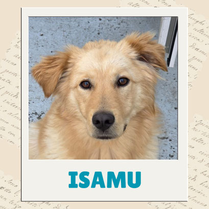 Isamu