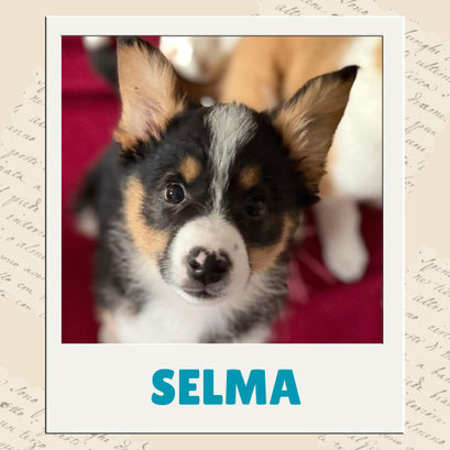 Selma