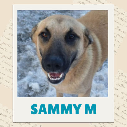 Sammy M