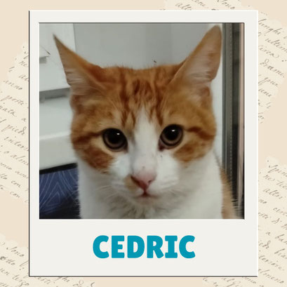 Cedric