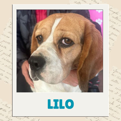 Lilo