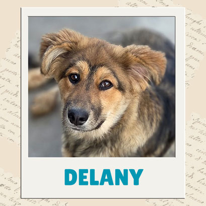 Delany