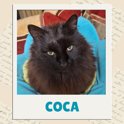 Coca