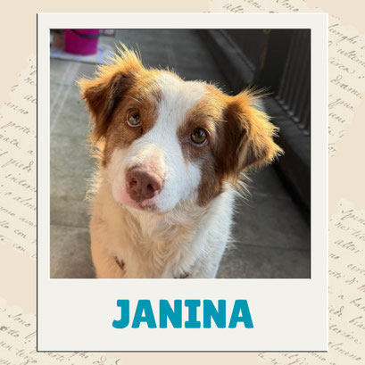 Janina