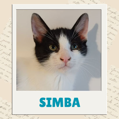 Simba