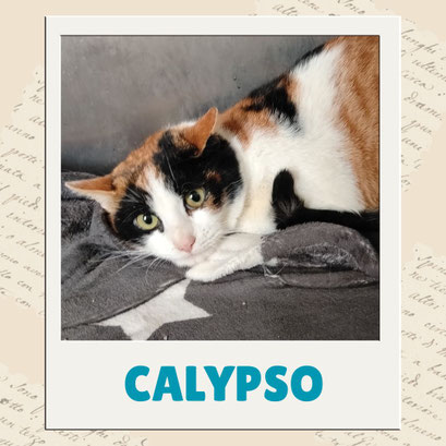 Calypso