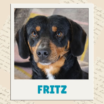 Fritz