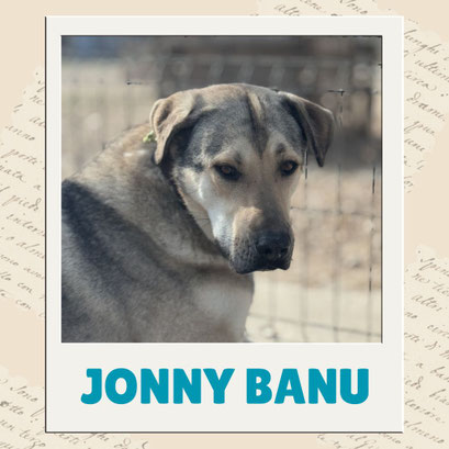 Jonny Banu