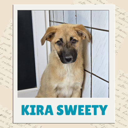 Kira Sweety
