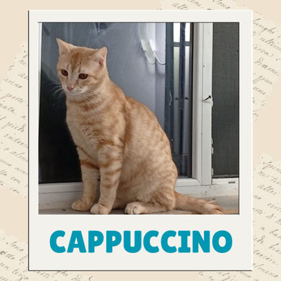 Cappuccino