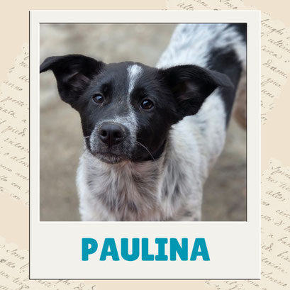 Paulina