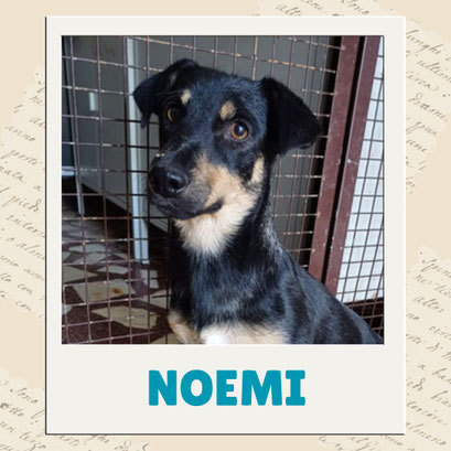 Noemi