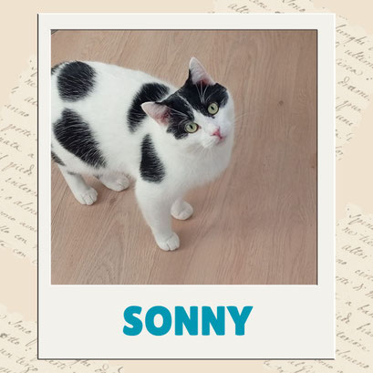 Sonny