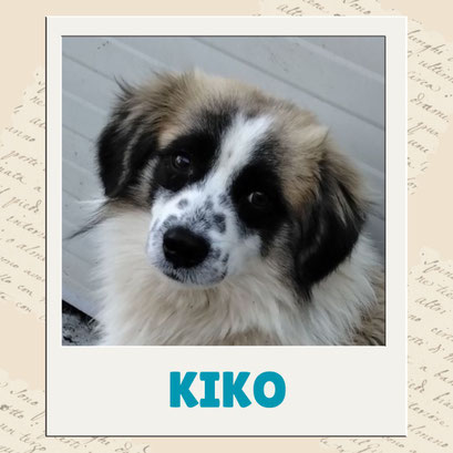 Kiko