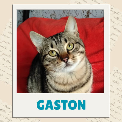 Gaston