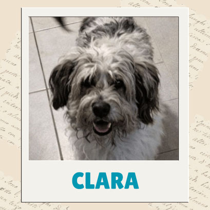 Clara