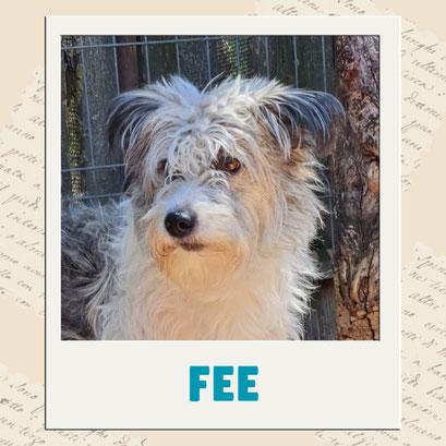 Fee