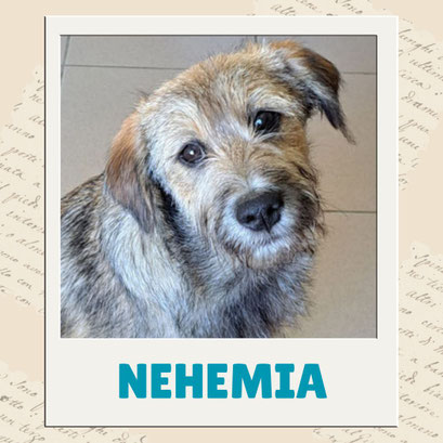 Nehemia
