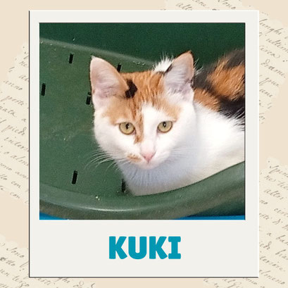 Kuki