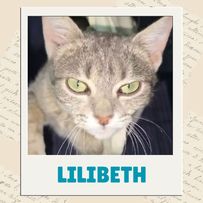 Lilibeth