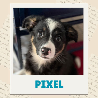 Pixel
