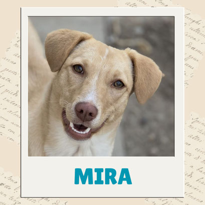 Mira