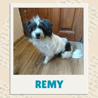 Remy