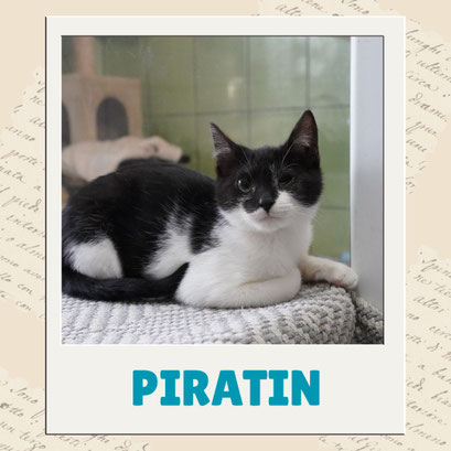Piratin