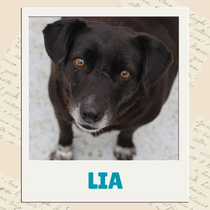 Lia