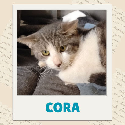 Cora