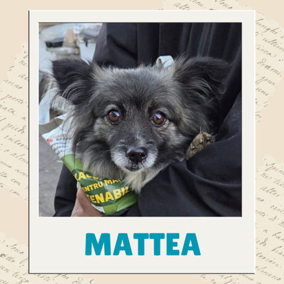 Mattea